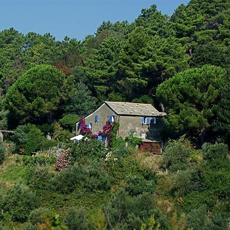 Maison De Charme Giulietta Bonassola Habitación foto